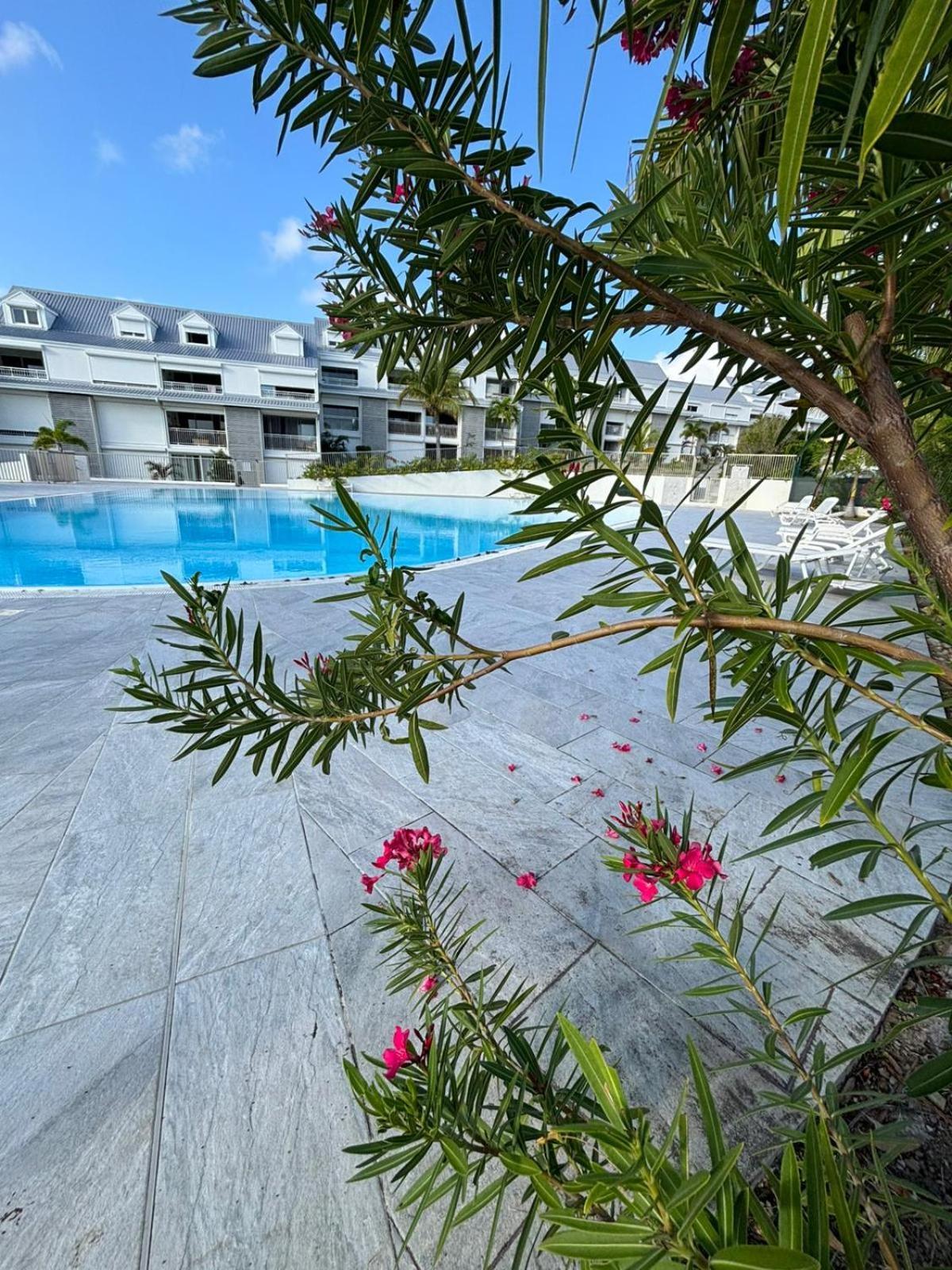 Appartamento Easy Friendly Sxm Cul de Sac Esterno foto